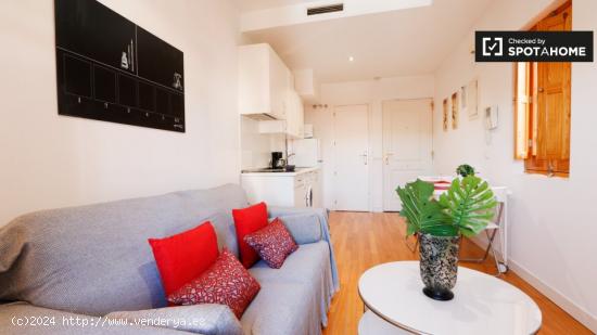 Precioso apartamento de 1 dormitorio en alquiler cerca de Metro en Puerta del Ángel - MADRID