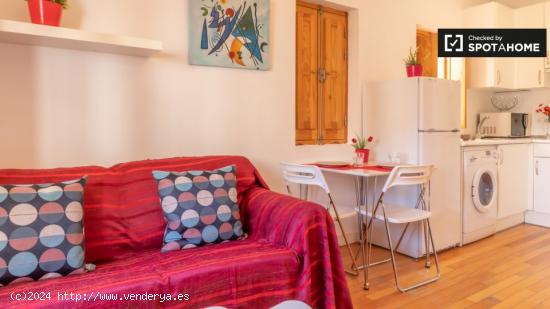 Apartamento de 1 dormitorio en alquiler en Puerta del Ángel, Madrid - MADRID