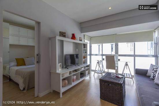  Luminoso apartamento de 1 dormitorio en alquiler en Salamanca - MADRID 