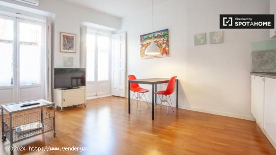 Elegante apartamento de 1 dormitorio en alquiler en Malasaña - MADRID