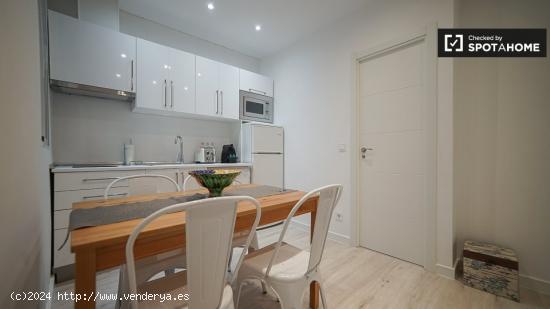 Elegante apartamento de 1 dormitorio en alquiler en el animado Lavapiés - MADRID