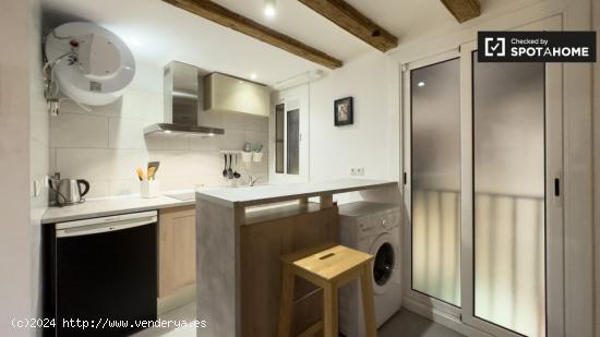 Elegante apartamento de 1 dormitorio en alquiler en El Raval - BARCELONA