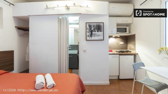 Apartamento estudio clásico en alquiler en el centro - MADRID