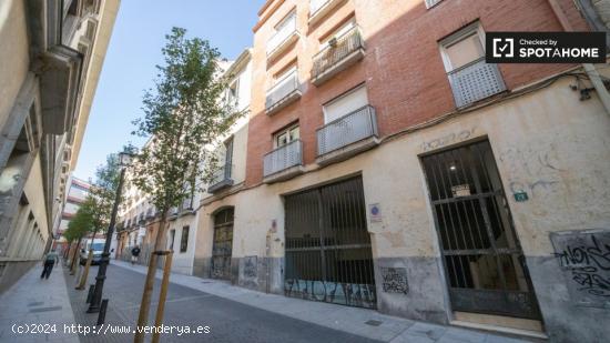 Tranquilo apartamento de 1 dormitorio en alquiler cerca del Mercado de San Ildefonso en Chueca - MAD