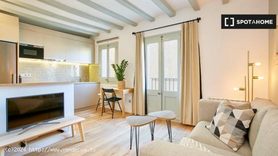 Apartamento de 2 dormitorios en alquiler en El Raval, Barcelona - BARCELONA