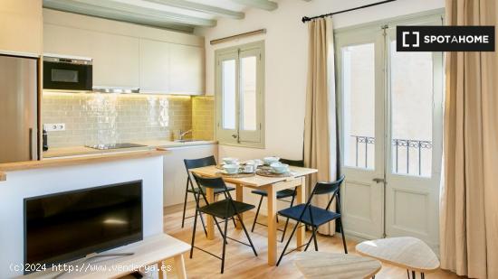 Apartamento de 2 dormitorios en alquiler en El Raval, Barcelona - BARCELONA