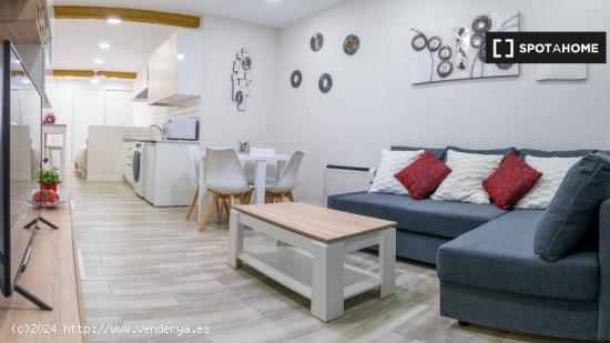 Apartamento entero de 1 habitaciones en Madrid - MADRID