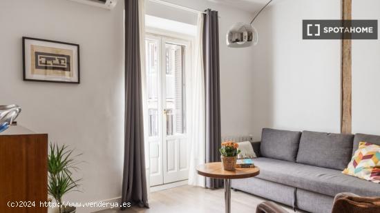 Apartamento de 1 dormitorio en alquiler en Lavapiés - MADRID