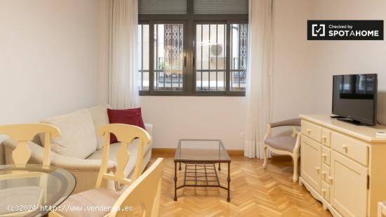 Apartamento de 1 dormitorio en alquiler en Madrid - MADRID