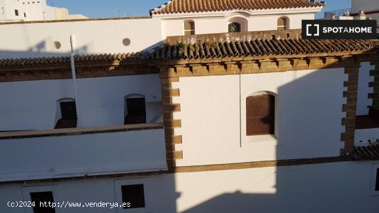 Alquiler de habitaciones en piso de 4 habitaciones en el centro de Cádiz - CADIZ