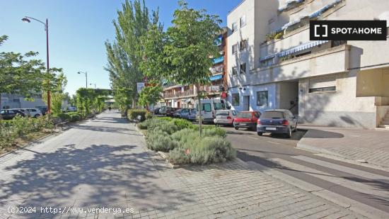 Apartamento tipo estudio en alquiler en Santa Marta De Tormes - SALAMANCA