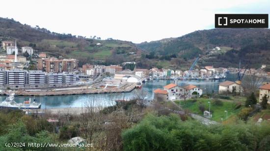 Alquiler de habitaciones en piso de 2 habitaciones en San Sebastián - GUIPUZCOA