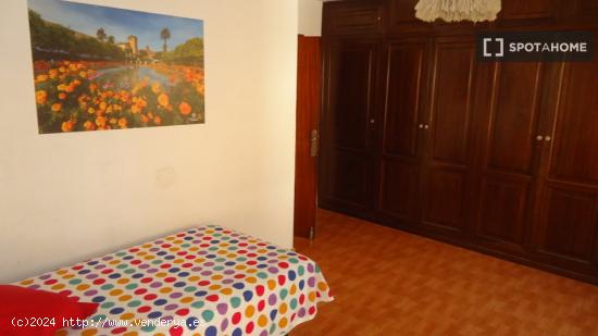 Habitación en piso compartido en Córdoba - CORDOBA