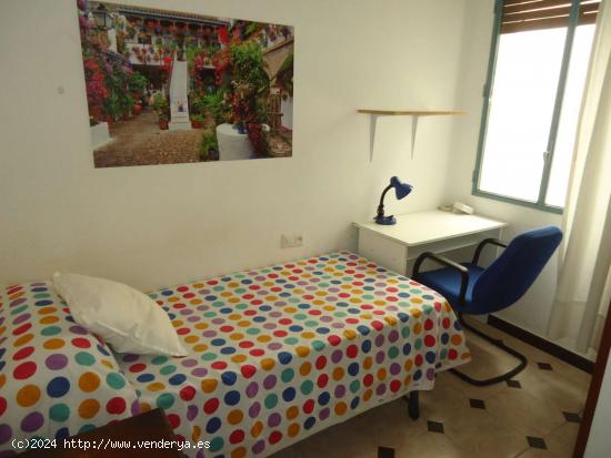  Habitación en piso compartido en Córdoba - CORDOBA 