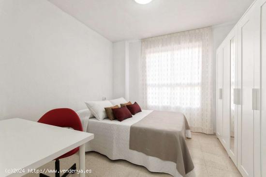 Preciosa Habitación en alquiler en Pio XII, Alicante- Solo chicas - ALICANTE