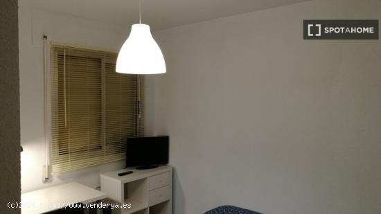 Habitaciones solo para mujeres en piso compartido en Murcia - MURCIA