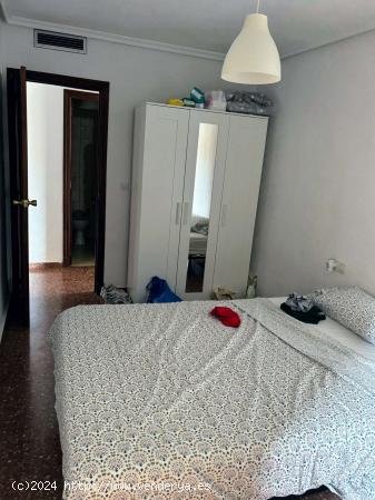 Piso de 5 dormitorios en alquiler en Murcia - MURCIA