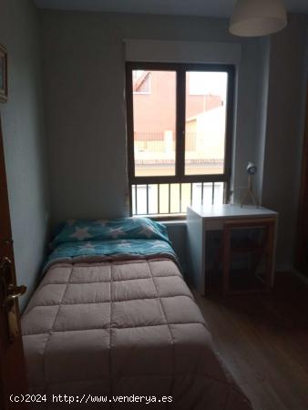 Alquiler de habitaciones en apartamento en Murcia - MURCIA