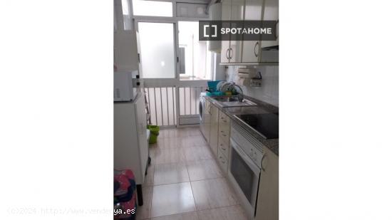 Alquiler de habitaciones en apartamento en Murcia - MURCIA