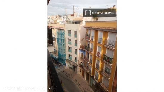 Alquiler de habitaciones en apartamento en Murcia - MURCIA