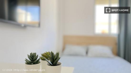 Luminosa habitación con cama de matrimonio equipada para estudiantes - SEVILLA