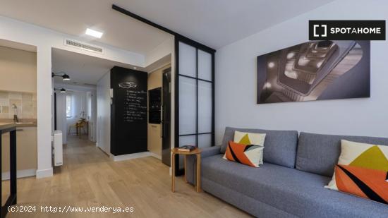 Apartamento entero de 1 habitaciones en Madrid - MADRID