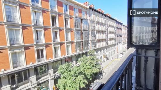 Habitación luminosa con escritorio en el departamento compartido, Puerta del Sol - MADRID