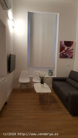  Apartamento de 1 dormitorio en alquiler en San Vicente, Sevilla - SEVILLA 