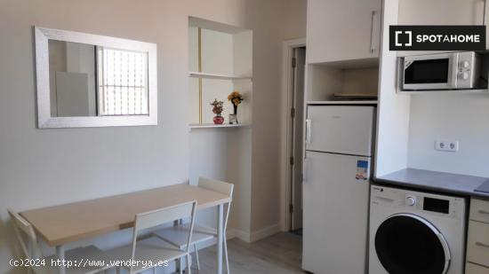 Apartamento entero de 1 habitaciones en Madrid - MADRID