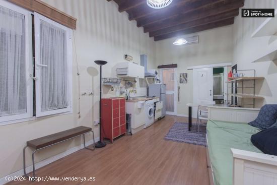  Acogedor apartamento estudio con patio en alquiler en Regina-La Encarnación - SEVILLA 