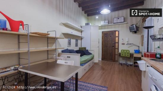 Acogedor apartamento estudio con patio en alquiler en Regina-La Encarnación - SEVILLA