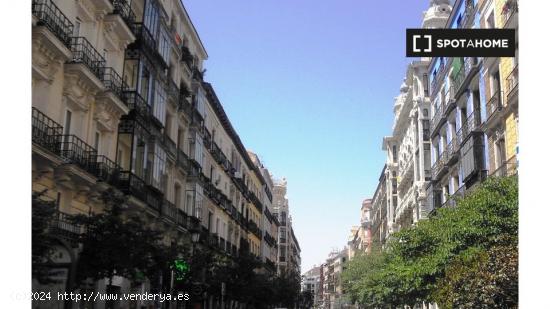 Estudio en madrid - MADRID