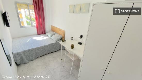 Luminosa habitación con cama de matrimonio equipada para estudiantes - SEVILLA