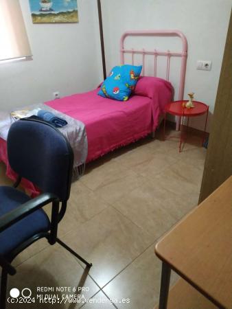  Habitación en piso compartido en Jaén - JAEN 