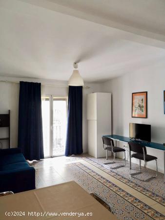  Amplio apartamento de 1 dormitorio con balcón en alquiler en Puerta del Sol, Madrid Centro - MADRID 