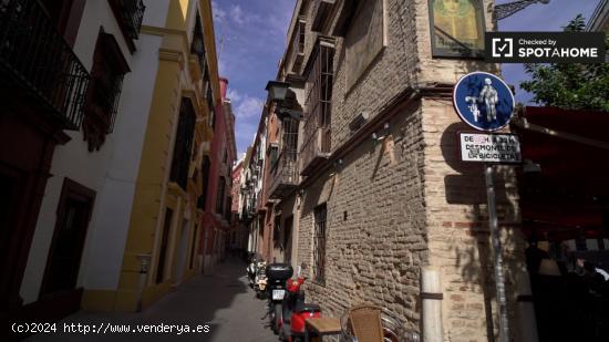 Piso de 1 dormitorio en el centro de Sevilla - SEVILLA