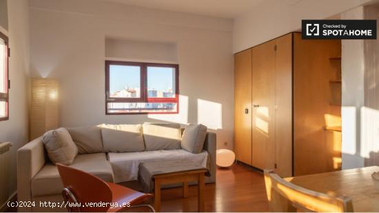 Apartamento de 1 dormitorio en alquiler en Puerta De Toledo, Madrid - MADRID