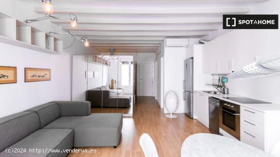 apartamento de 1 dormitorio en alquiler en El Raval, Barcelona - BARCELONA