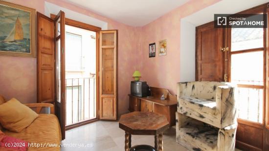 Apartamento soleado de 2 dormitorios y 1 baño con terraza en la azotea cerca de la Alhambra y el ce