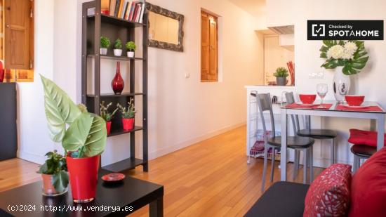 Apartamento de 1 dormitorio en alquiler en Puerta del Angel, Madrid - MADRID