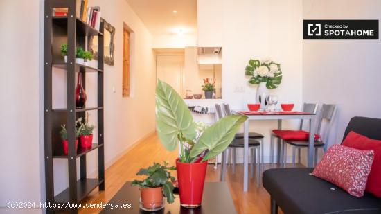 Apartamento de 1 dormitorio en alquiler en Puerta del Angel, Madrid - MADRID