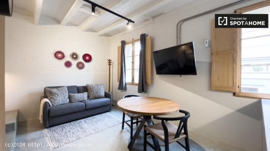 Apartamento de 2 dormitorios en alquiler en El Barri Gotic - BARCELONA