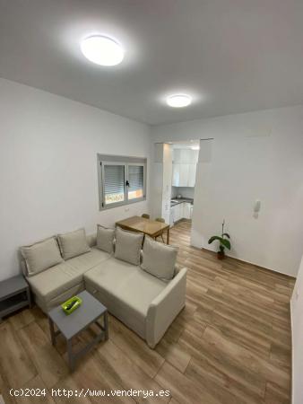  Apartamento de 1 dormitorio en alquiler en Santa Cruz De Tenerife - SANTA CRUZ DE TENERIFE 