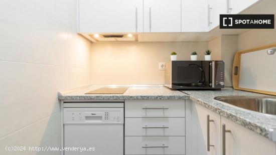 Apartamento de 1 dormitorio en alquiler en Castellana, Madrid - MADRID