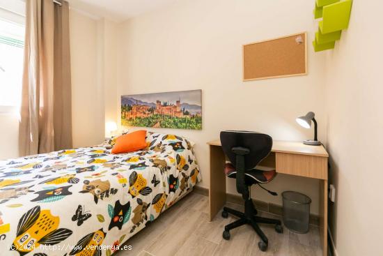  Se alquila habitación en piso de 3 dormitorios en Granada - GRANADA 