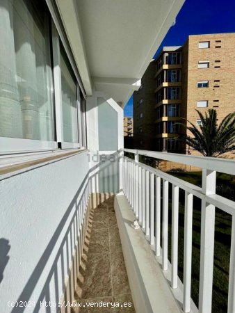 Estudio en venta  en Pineda, La - Tarragona