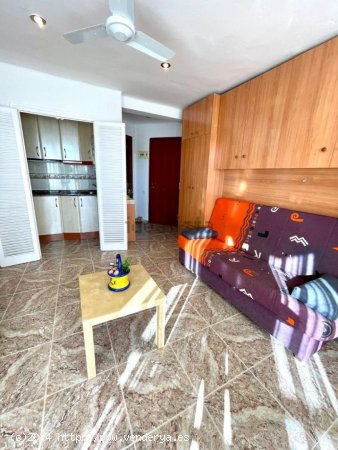 Estudio en venta  en Pineda, La - Tarragona