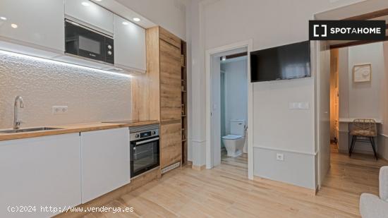 Apartamento entero de 1 habitaciones en Madrid - MADRID