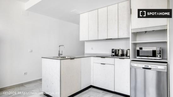 Piso de 1 dormitorio en alquiler en Madrid MAD-54 - MADRID