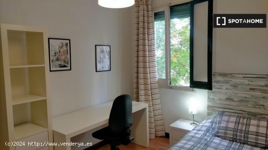 Se alquila habitación en piso de 3 dormitorios en Lista, Madrid - MADRID